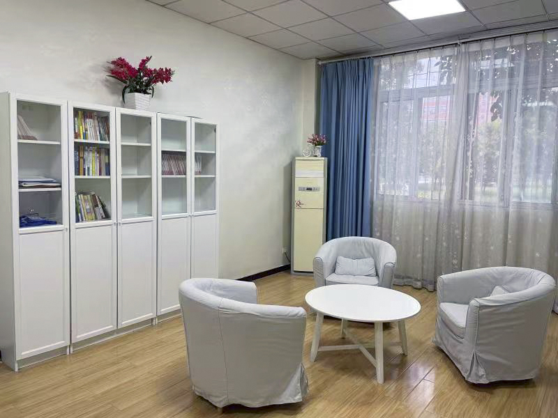 甘肅中小學(xué)心理咨詢室建設(shè)規(guī)劃中的計(jì)算機(jī)軟件開發(fā)路徑